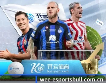 赛事数据与深度分析 | dianjingniu